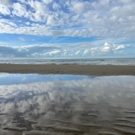 Limon's Cocoon De Panne